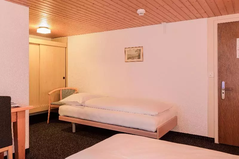 اتاق استاندارد سه نفره, Jungfrau Lodge, Swiss Mountain