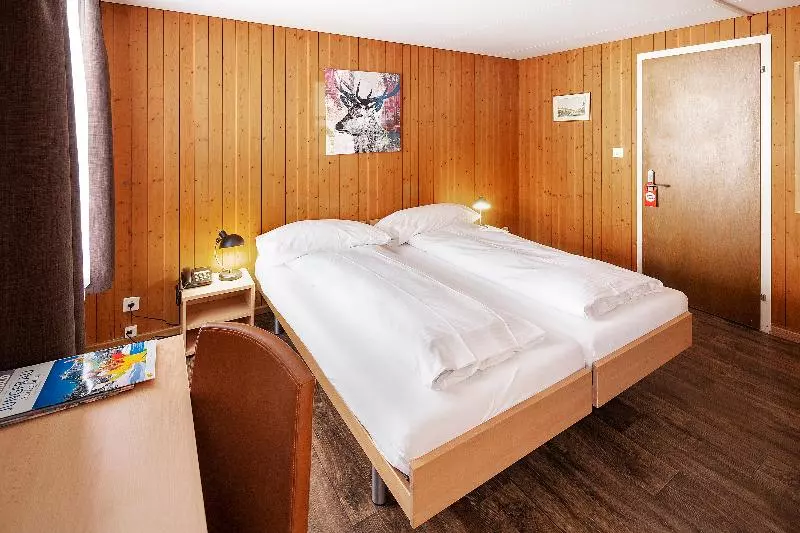 اتاق استاندارد, Jungfrau Lodge, Swiss Mountain
