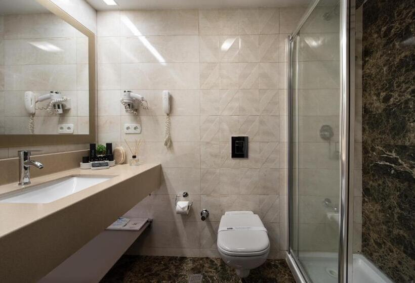 스탠다드 룸, The Wings Hotels Neva Palas