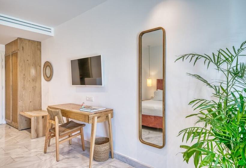 ジュニアスイート, San Antonio Summerland