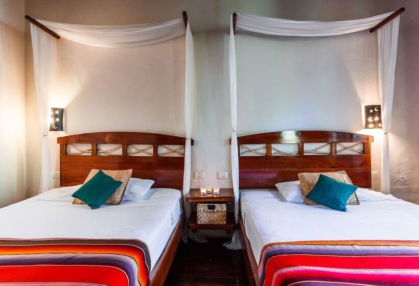 ジュニアスイート, Villas Hm Paraíso del Mar