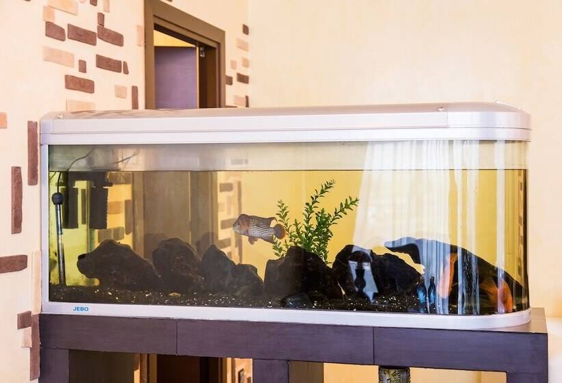 سوئیت پرزیدنت, Park Hotel Anapa