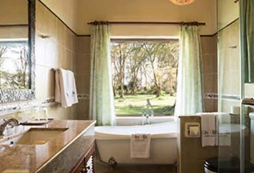 ویلای لوکس 1 خوابه, Kibo Villaamboseli