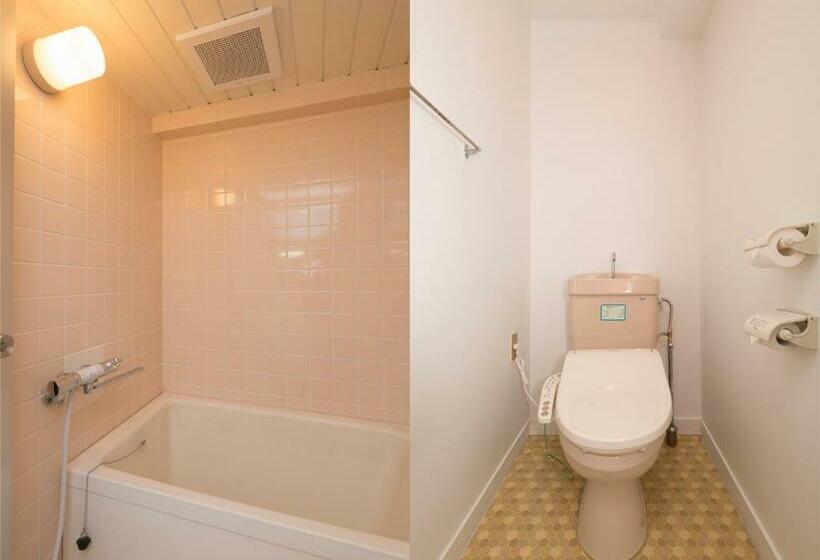 חדר סטנדרט יחיד, Wwj