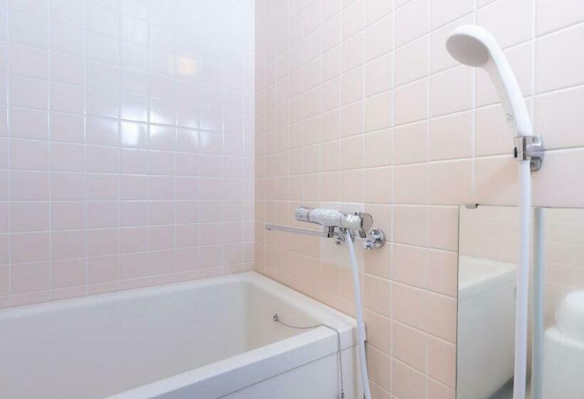 חדר סטנדרט, Wwj