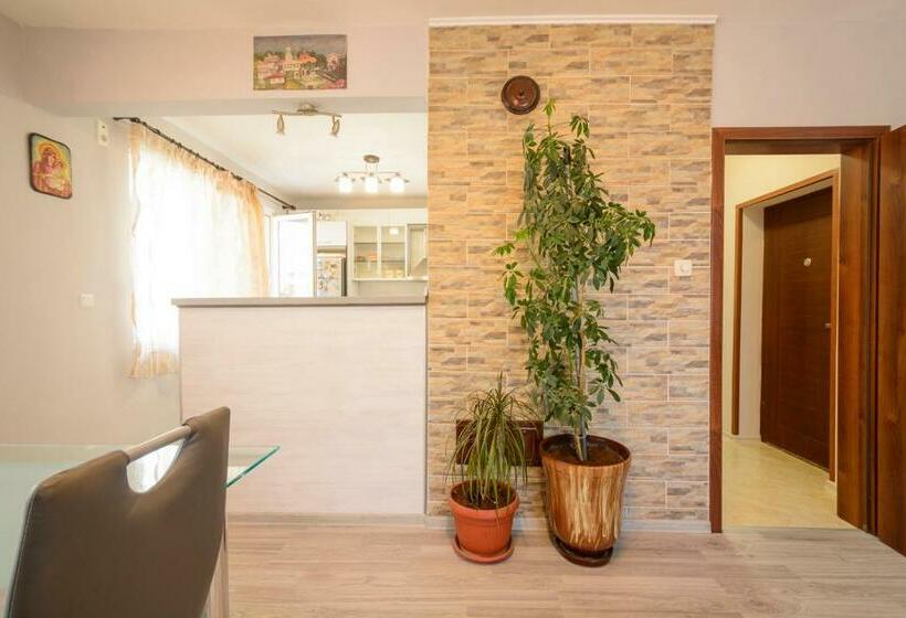 דירת חדר, Apartment Yanevi