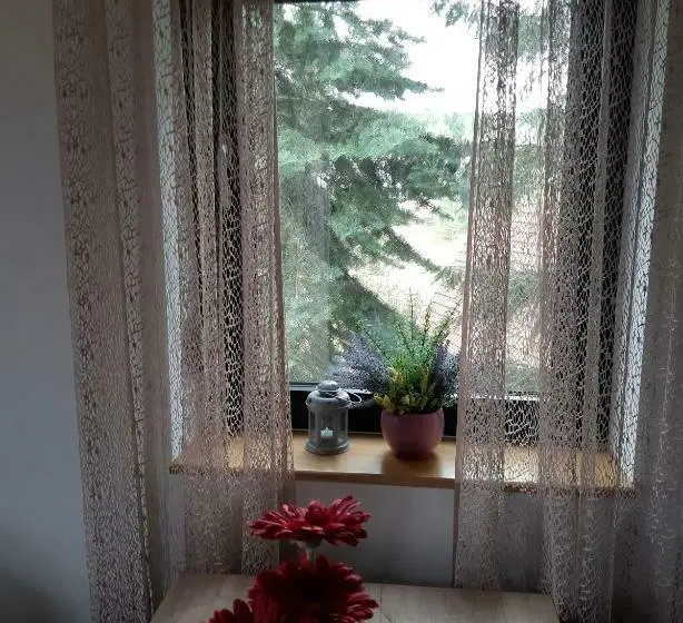 آپارتمان 1 خوابه, Apartman Nana Svetogorska 19 ,stan 17