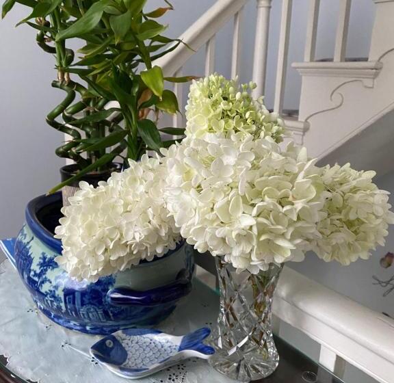 غرفة قياسية, Northey Street House