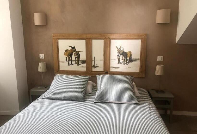 شقة غرفة واحدة مزودة بتراس, Le Môle