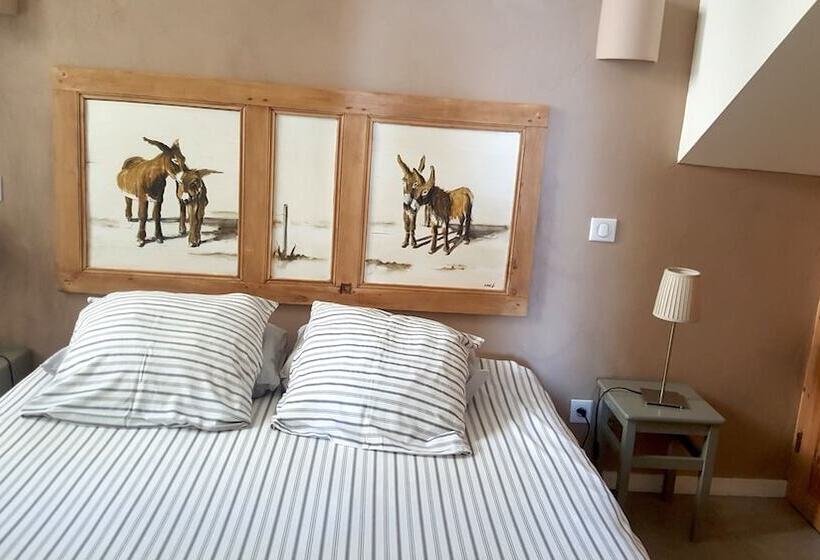 شقة غرفة واحدة مزودة بتراس, Le Môle