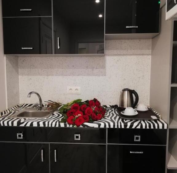 اتاق عادی, Opera Center Hotel & Apartments