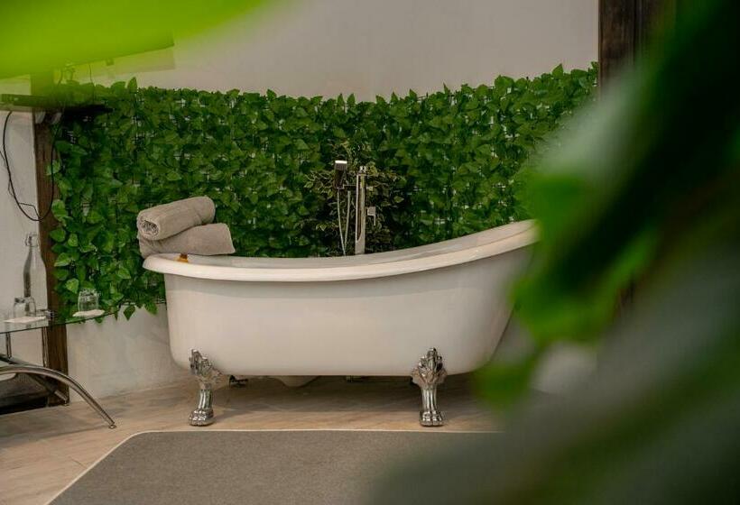 اتاق لوکس, Casa Vistas Del Conde