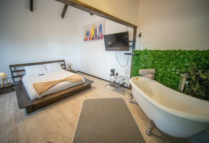 اتاق لوکس, Casa Vistas Del Conde