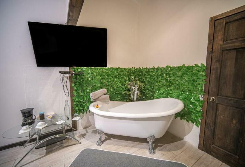 اتاق لوکس, Casa Vistas Del Conde