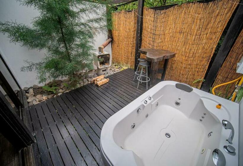 اتاق سوپریور, Casa Vistas Del Conde