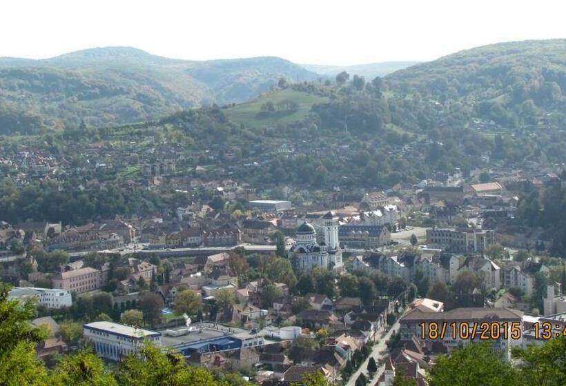 Номер Стандарт Вид на Город, Cosbuc Residence & Villa