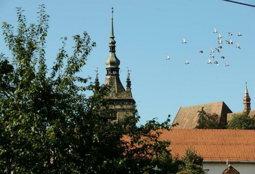 Номер Стандарт Вид на Город, Cosbuc Residence & Villa