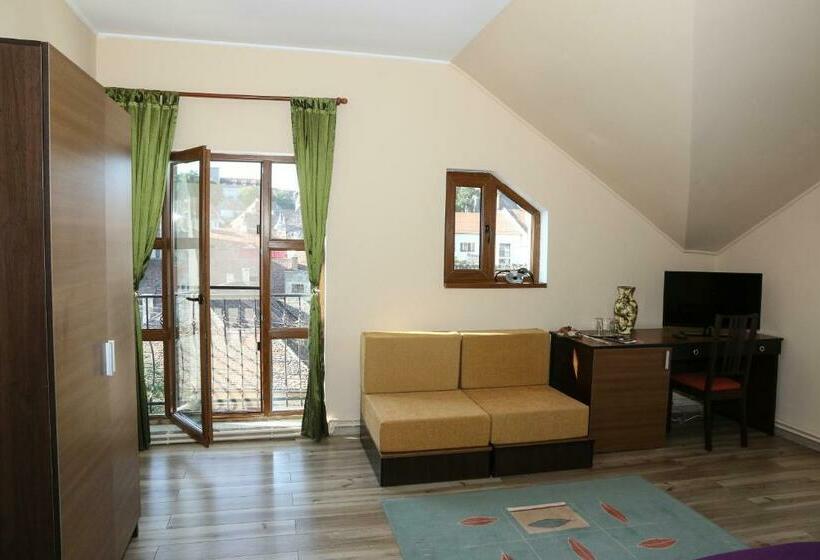 اتاق استاندارد با چشم‌انداز شهر, Cosbuc Residence & Villa
