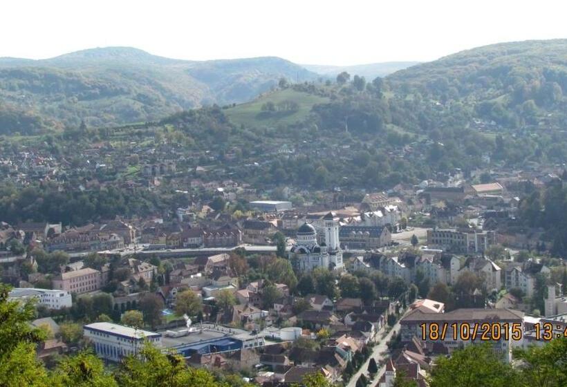 Номер Стандарт, Cosbuc Residence & Villa