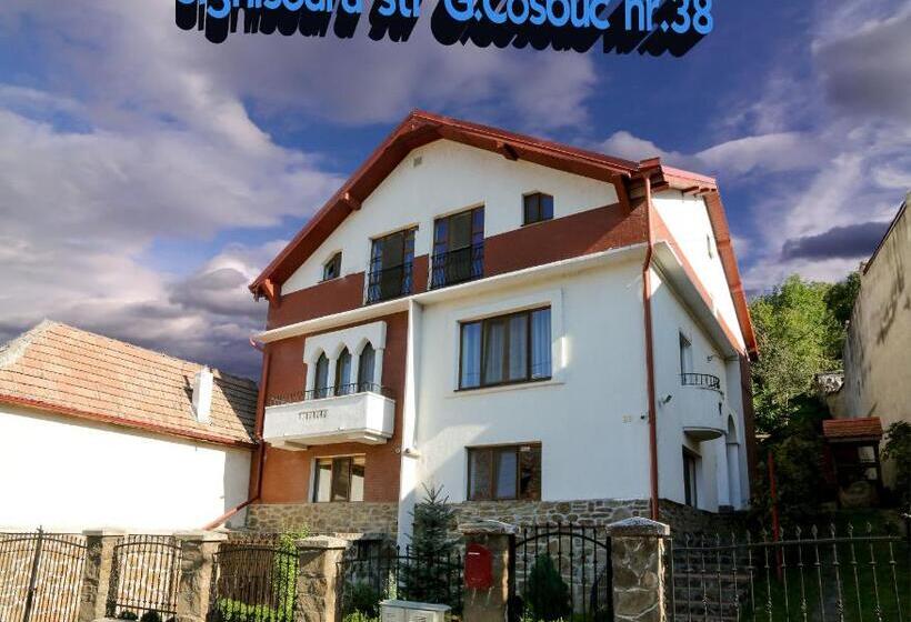 اتاق استاندارد با سرویس بهداشتی مشترک, Cosbuc Residence & Villa