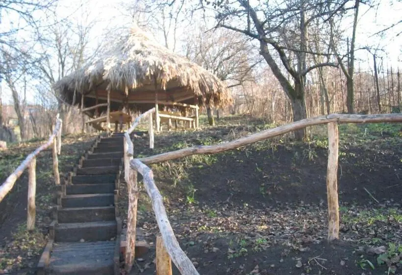 اتاق استاندارد, Cosbuc Residence & Villa