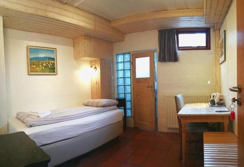 اتاق استاندارد یک نفره, Eric The Red Guesthouse