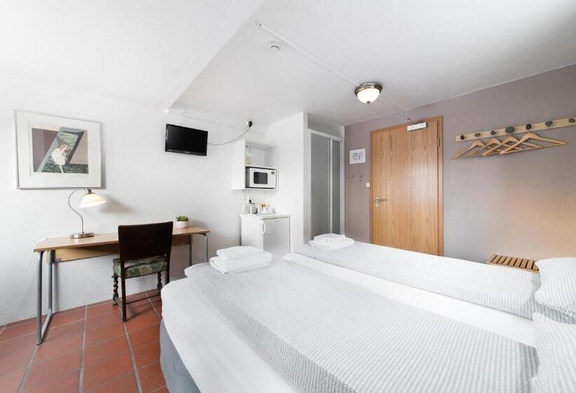 اتاق استاندارد, Eric The Red Guesthouse