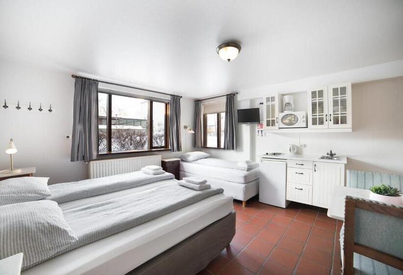 اتاق استاندارد سه نفره, Eric The Red Guesthouse