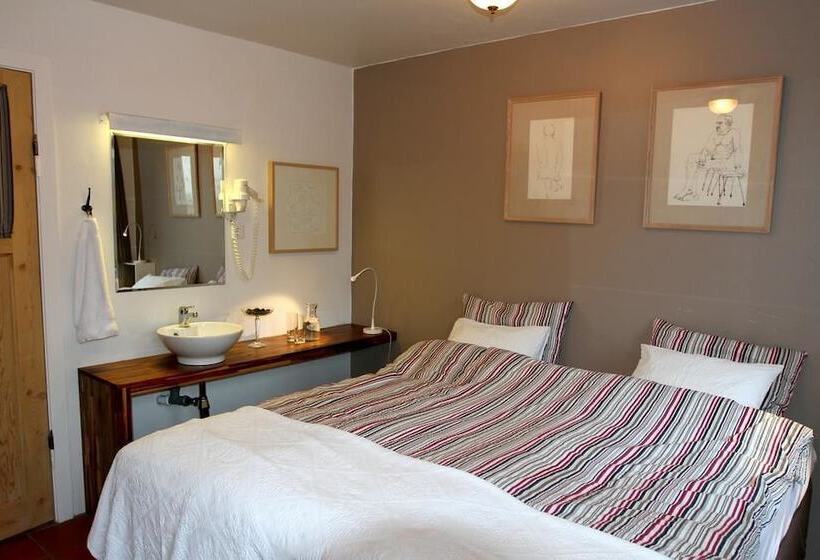 اتاق استاندارد با سرویس بهداشتی مشترک, Eric The Red Guesthouse