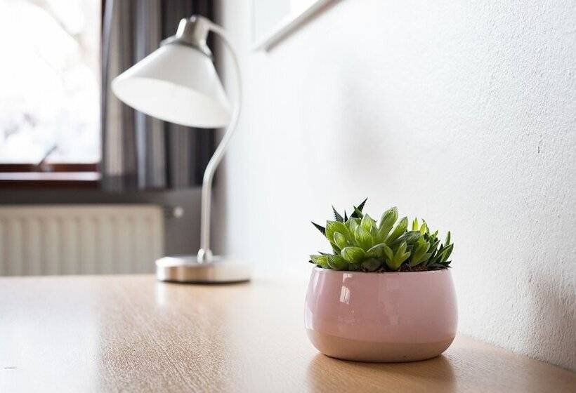 اتاق استاندارد, Eric The Red Guesthouse