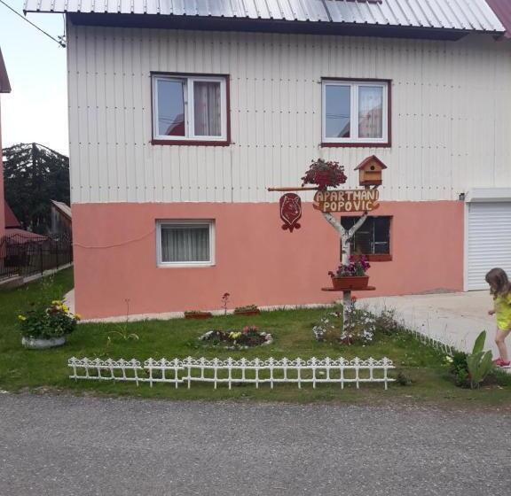 سوییت خانوادگی, Vuk Popovic