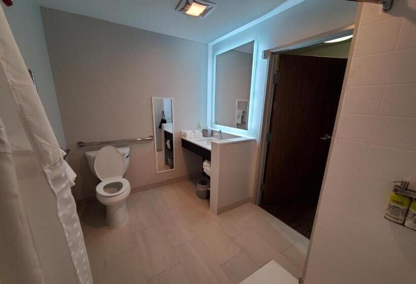 Номер Стандарт Кровать Кинг Адаптированный для Инвалидов, Holiday Inn Express & Suites Harrisburg S Mechanicsburg, An Ihg