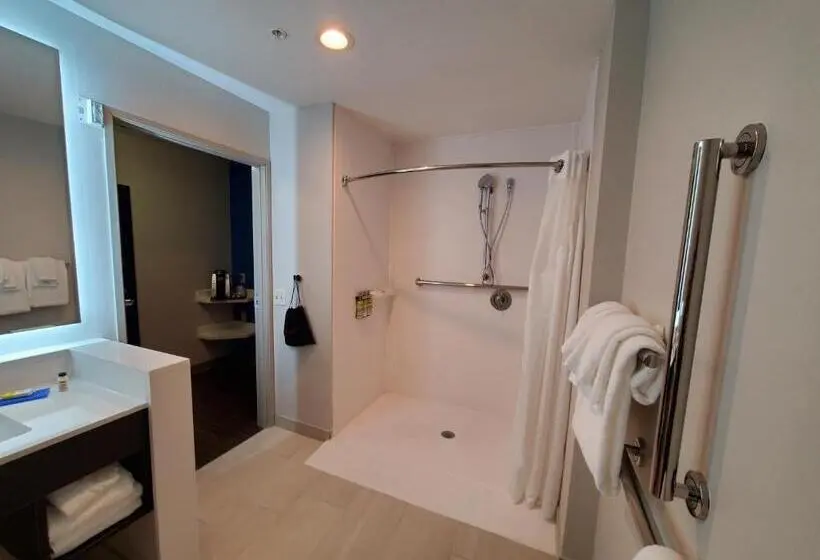 身障者適用キングサイズベッドルーム, Holiday Inn Express & Suites   Harrisburg S   Mechanicsburg, An Ihg