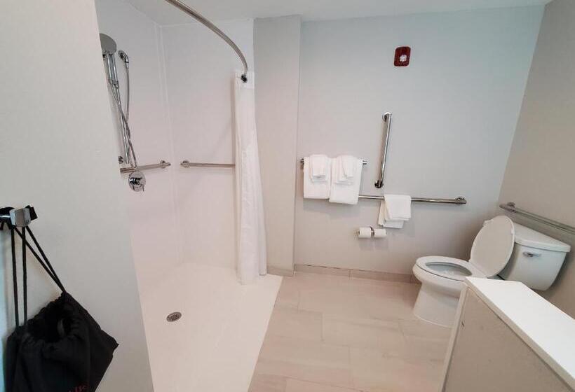 Номер Стандарт Кровать Кинг Адаптированный для Инвалидов, Holiday Inn Express & Suites Harrisburg S Mechanicsburg, An Ihg