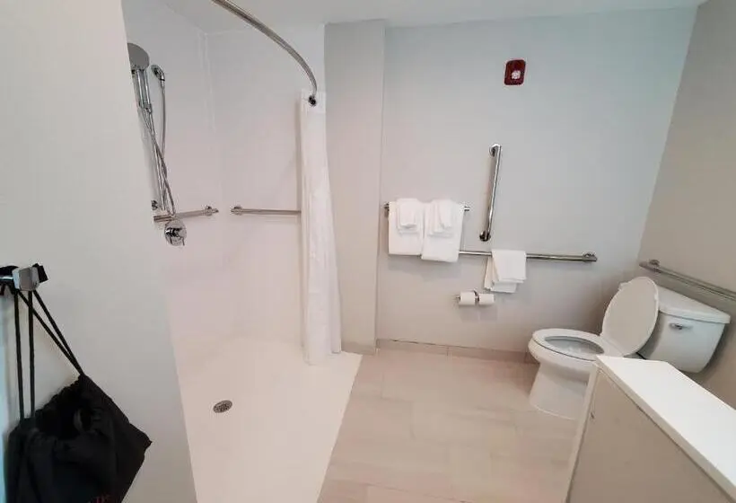 身障者適用キングサイズベッドルーム, Holiday Inn Express & Suites   Harrisburg S   Mechanicsburg, An Ihg