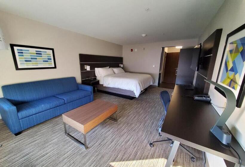 Номер Стандарт Кровать Кинг Адаптированный для Инвалидов, Holiday Inn Express & Suites   Harrisburg S   Mechanicsburg, An Ihg