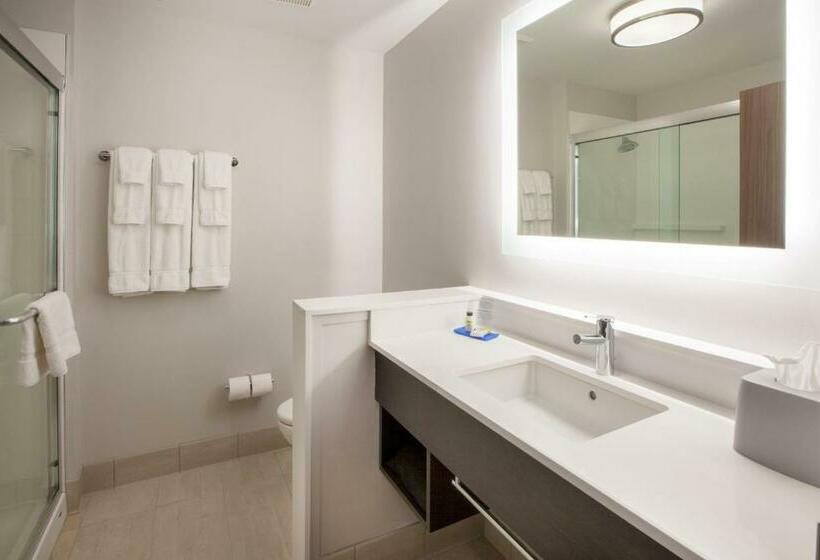 Люкс Кровать Кинг, Holiday Inn Express & Suites Harrisburg S Mechanicsburg, An Ihg