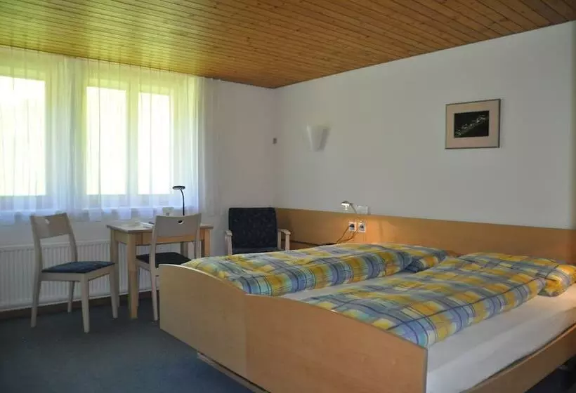 Standard-huone, Ferien Und Familienhotel Alpina Adelboden