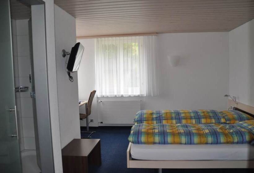 Номер Стандарт, Ferien  Und Familienhotel Alpina Adelboden