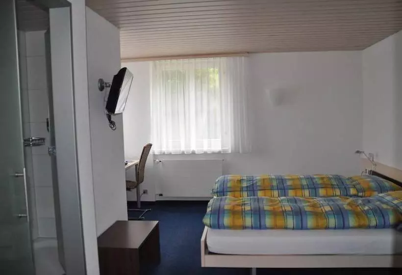 Standard-huone, Ferien Und Familienhotel Alpina Adelboden