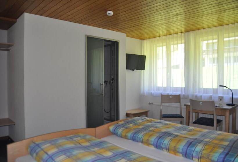 スタンダードルーム, Ferien  Und Familienhotel Alpina Adelboden