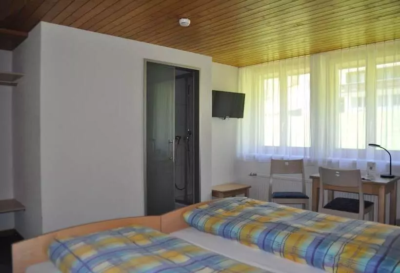 Standard-huone, Ferien Und Familienhotel Alpina Adelboden
