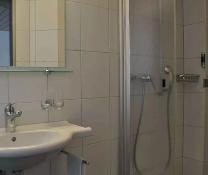Standard-huone, Ferien Und Familienhotel Alpina Adelboden