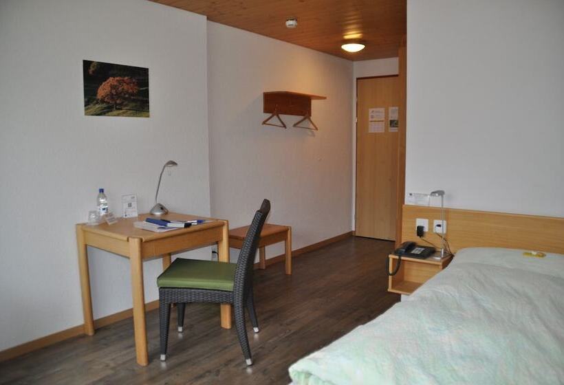 スタンダードシングルルーム, Ferien  Und Familienhotel Alpina Adelboden