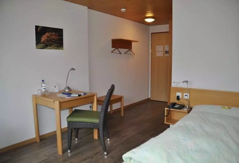 Standard Yhden Hengen Huone, Ferien Und Familienhotel Alpina Adelboden