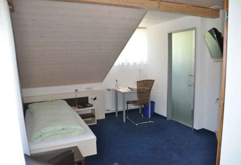 اتاق استاندارد یک نفره, Ferien  Und Familienhotel Alpina Adelboden