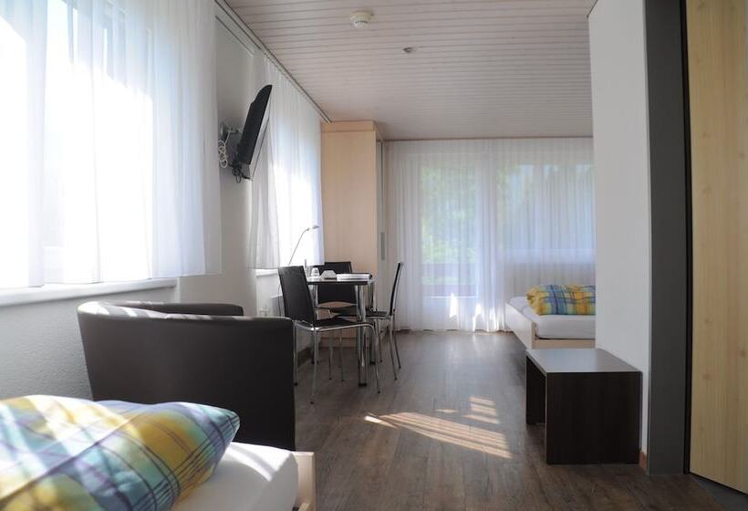 スタンダードトリプルルーム, Ferien  Und Familienhotel Alpina Adelboden