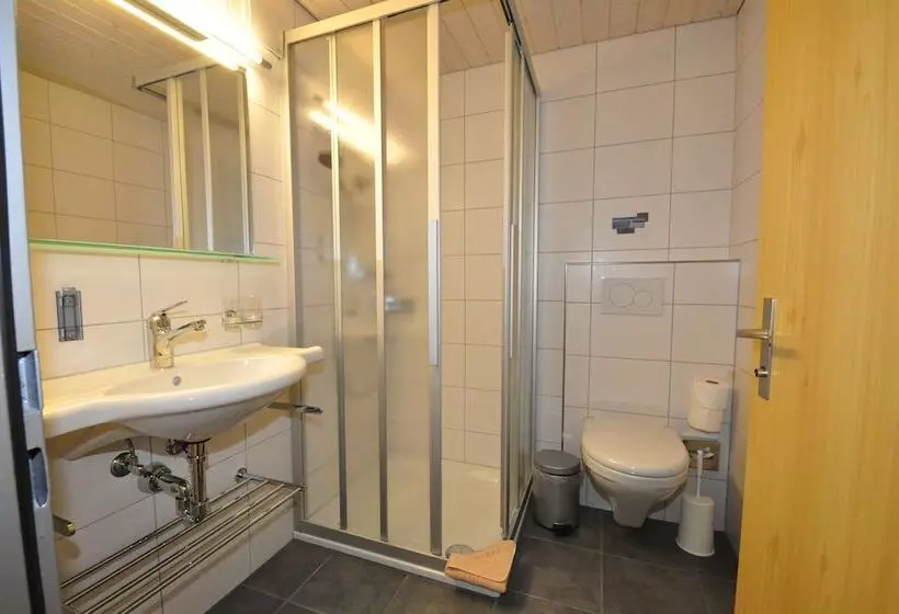 Standard Kolmen Hengen Huone, Ferien Und Familienhotel Alpina Adelboden