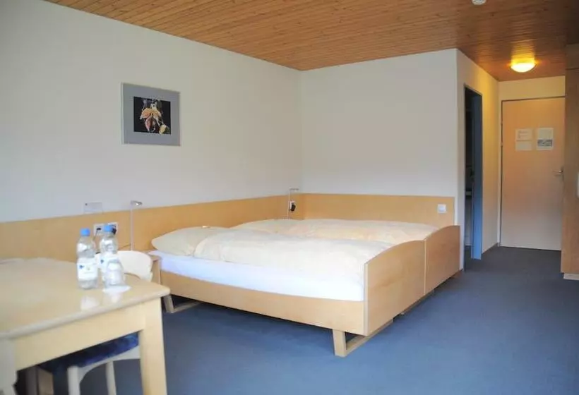 Standard-huone Parveke, Ferien Und Familienhotel Alpina Adelboden