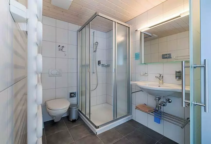 Standard Yhden Hengen Huone Parveke, Ferien Und Familienhotel Alpina Adelboden
